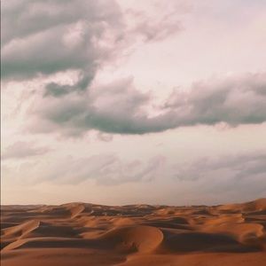 Meet your Posher, Iliana